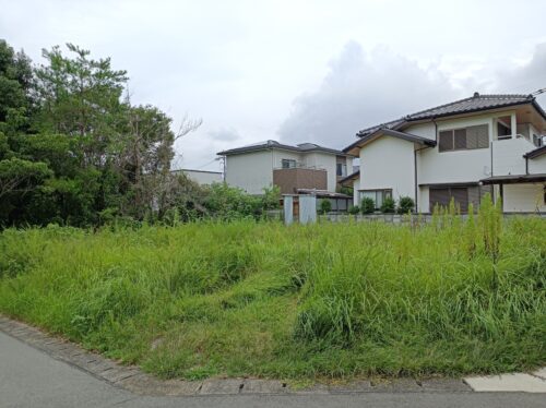 吉野川市川島町桒村字植桜 画像3